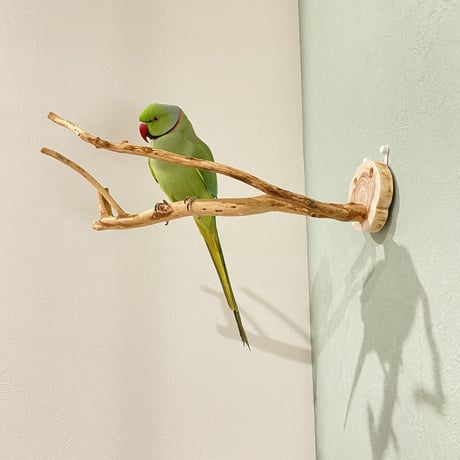 ピノキオの鼻 ⑨