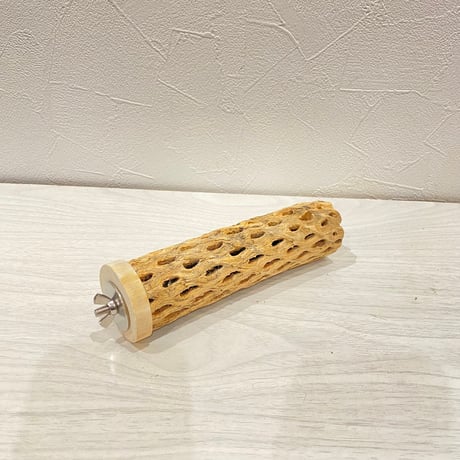 カクタスパーチ小直径3~4cm 長さ15cm ⑥