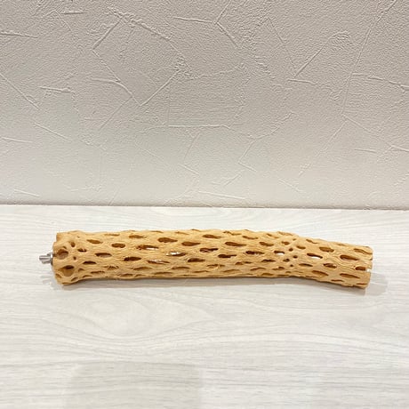 カクタスパーチ⑯ 小サイズ長さ25cm