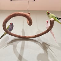 超でかいとぐろちゃんブランコ　【インコのおもちゃ 自然木】