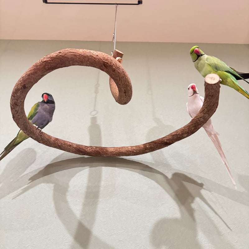 超でかいとぐろちゃんブランコ 【インコのおもちゃ 自然木】 | 自然木