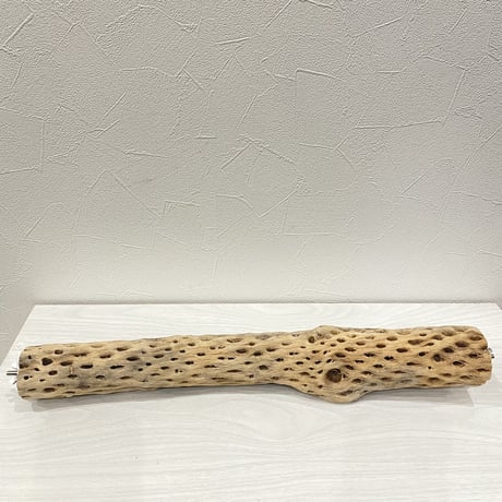 ケージサイズカクタスパーチ⑧  中サイズ（直径約5.5cm）HOEI465