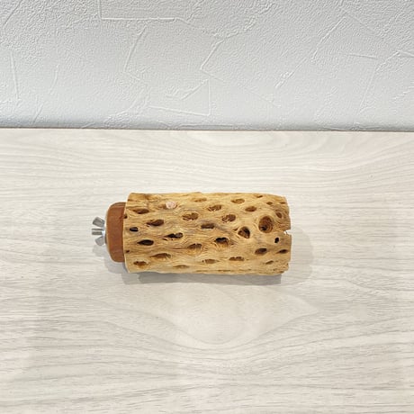 カクタスパーチ② 中サイズ直径5.5cm/10cm