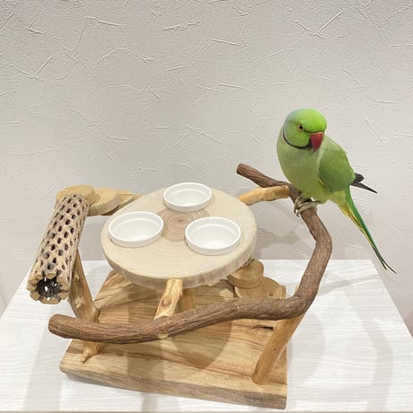 ツタとカクタスのアリスのお茶会テーブル