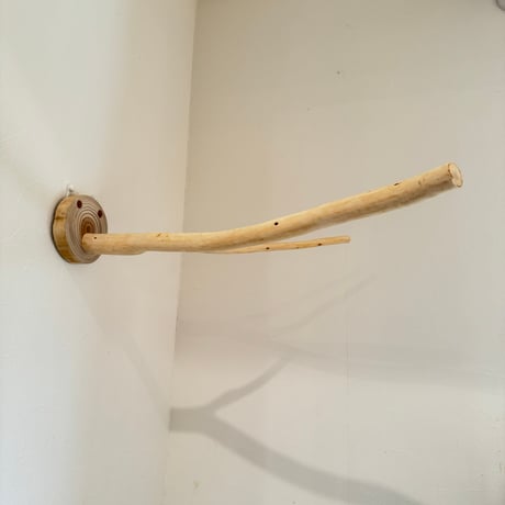 桧のピノキオの鼻 ⑫