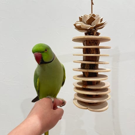CATEGORY ガジガジ | 自然木の鳥用品 鳥豆堂【トリマメドウ】バード
