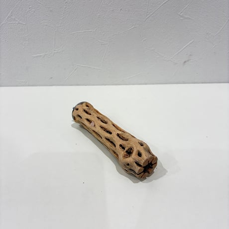 【N様専用】カクタスパーチ　直径2.5~3cm/長さ12cm