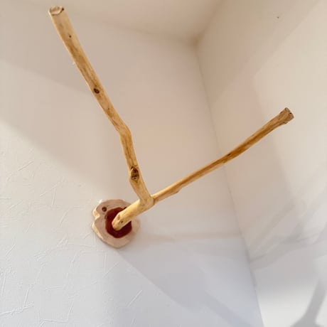 桧のピノキオの鼻 ①