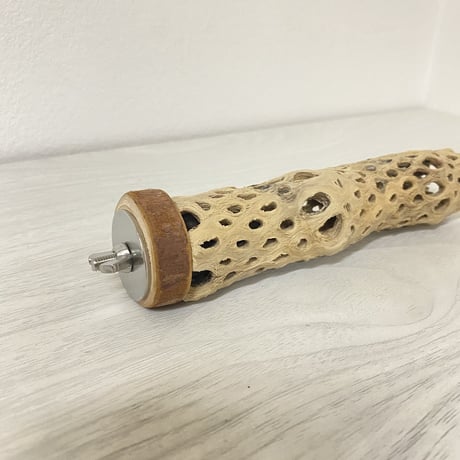 カクタスパーチ⑩ 極小サイズ 直径（約2-3cm）長さ/10cm