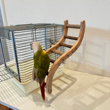 ウェーブラダー ハシゴ 【自然木の止まり木 インコのおもちゃ】