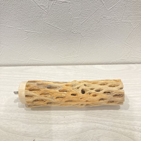 カクタスパーチ小⑮ 直径約3~4cm 長さ15cm