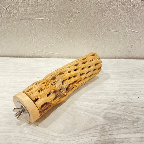 カクタスパーチ【A】直径4~5cm/長さ15cm