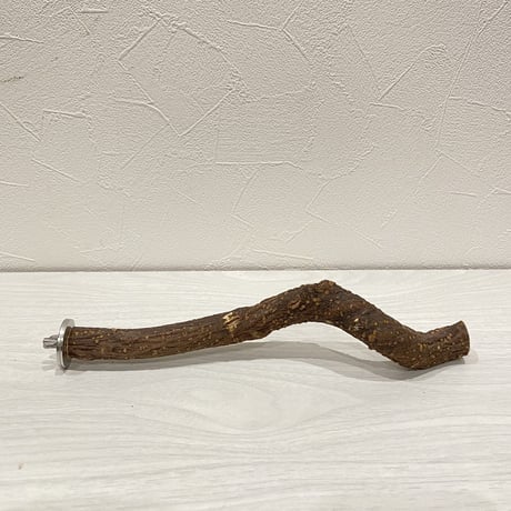 自然木（ツタ）パーチ③ 直径2cm 長さ25cm