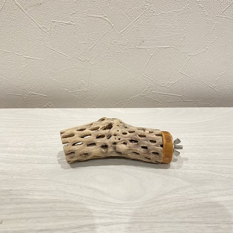 カクタスパーチ⑧ 小直径約3.5cm/11cm
