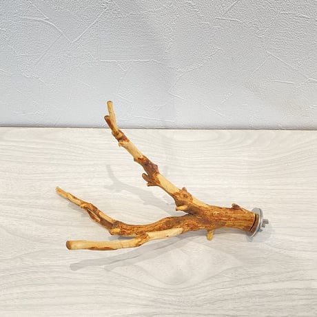 自然木（カイヅカイブキ）のパーチ⑦　直径0.8-2cm／長さ21cm