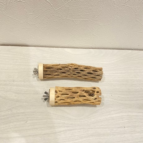 【tsukimigram様専用】カクタスパーチ小10cm 15cm