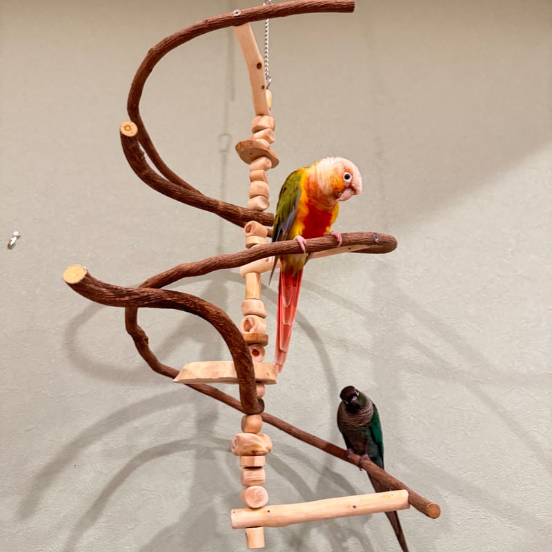 コトリのなる木カスタム つり下げゆらゆらバードアスレチック