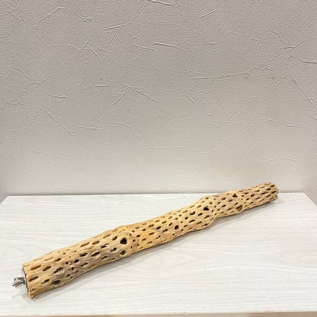 ケージサイズカクタスパーチ①小サイズ HOEI465 オカメ