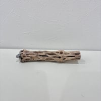 カクタスパーチ極小サイズ⑦ 直径約2.7cm/長さ15cm【自然木 止まり木 バンブルフット 趾瘤症 】