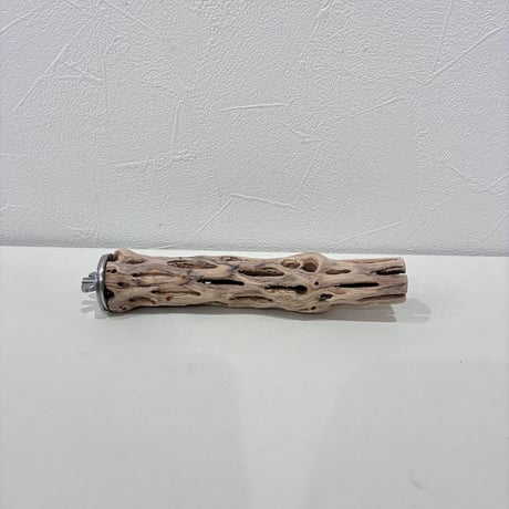 カクタスパーチ極小サイズ⑦ 直径約2.7cm/長さ15cm【自然木 止まり木 バンブルフット 趾瘤症 】