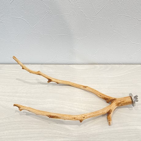 自然木（カイヅカイブキ）のパーチ④　直径1～1.5cm／長さ27cm