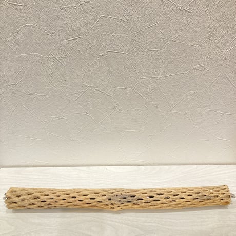 ケージサイズカクタスパーチ⑤  小サイズ直径3-4cm HOEI465サイズ