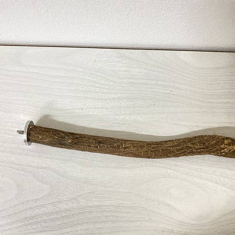殿様パーチ（自然木ツタ）⑤ HOEI465サイズ  直径2cm