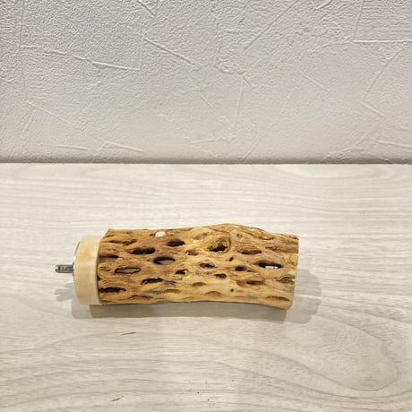 カクタスパーチ小⑦ 直径約3~4cm 長さ10cm