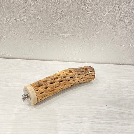 カクタスパーチ⑲中4.5~5.5cm長さ17㎝