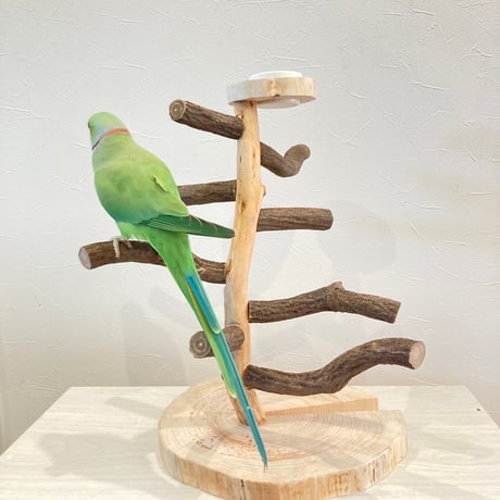 ツタのツリーバードアスレチック【インコのおもちゃ・自然木のとまり木】