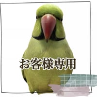 【S様専用】自然木（ツタ）のスタンドパーチ