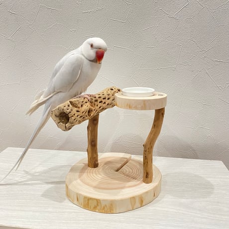 おやつ入れ付きカクタススタンドパーチ①