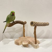 ツタとカクタスの殿様スタンドパーチ①【インコのおもちゃ・自然木のとまり木】
