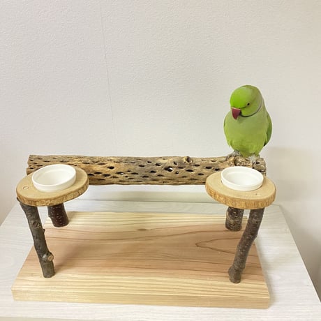 おやつ入れ付きカクタススタンドパーチ① 中型から大型さん用