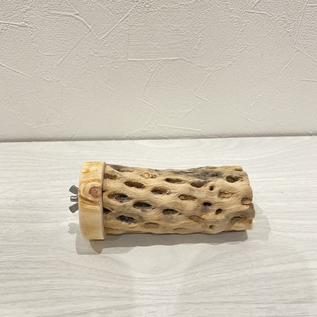 カクタスパーチ⑭ 中直径約5.5cm/13.5cm