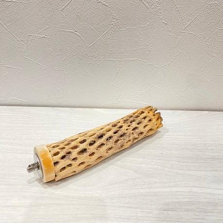 カクタスパーチ⑩ 小サイズ長さ18cm