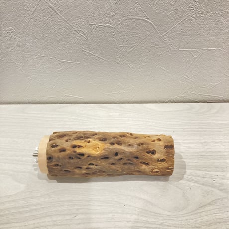 カクタスパーチ中直径約5cm 長さ15cm