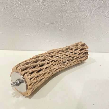 カクタスパーチ(O) 直径約5cm/長さ19cm