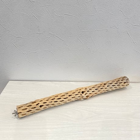 ケージサイズカクタスパーチ小① HOEI465 オカメ