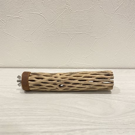 カクタスパーチ② 極小直径2-3cm/14.5cm