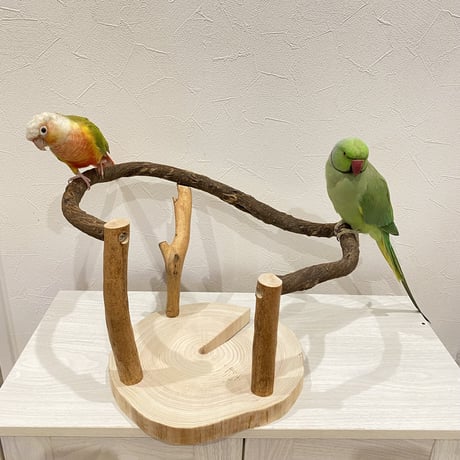 ツタのぴーちくぱーちスタンド①