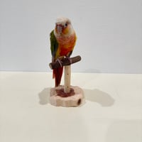 ツタのスタンドパーチ【インコ 体重測定用】④　インコ・小鳥の健康管理に