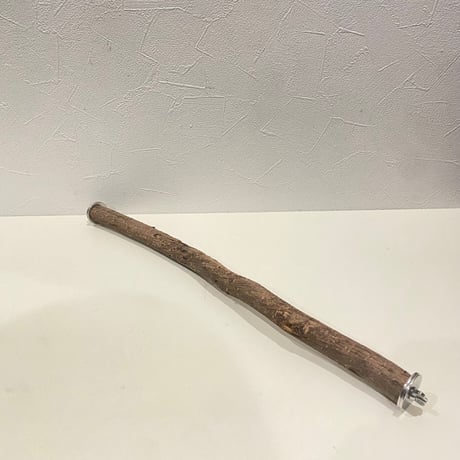 殿様パーチ（自然木ツタ） HOEI465サイズ ②