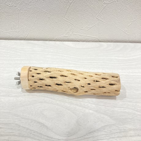 カクタスパーチ【3】小 直径約3.5cm 長さ13cm