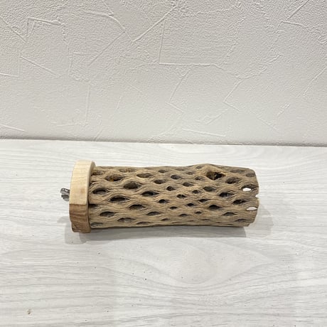 カクタスパーチ⑭ 中直径約5.5cm/13.5cm
