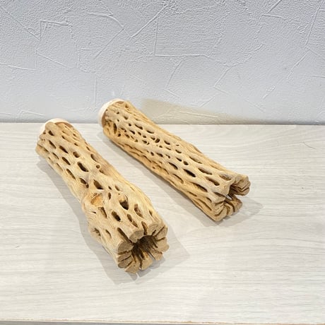 【Ｉ様専用】中サイズカクタスパーチ  20cm