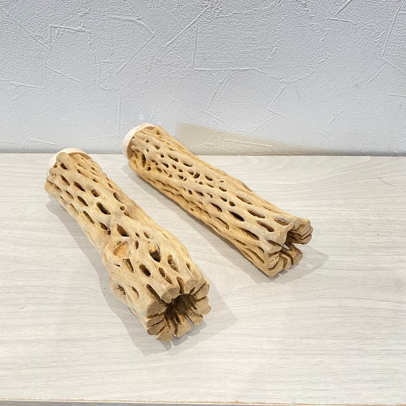 I様専用】中サイズカクタスパーチ 20cm | 自然木の鳥用品 鳥豆 I様専用】中サイズカクタスパーチ 20cm | 自然木の鳥用品 鳥豆