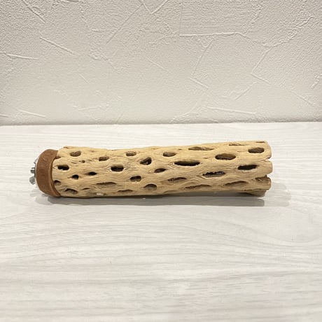 カクタスパーチ⑩  小 直径約4cm前後/15cm