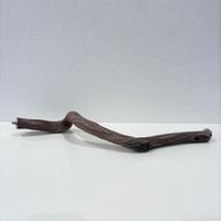自然木（ツタ）うねうねパーチ⑥  HOEI465 直径約2.5cm/長さ44cm