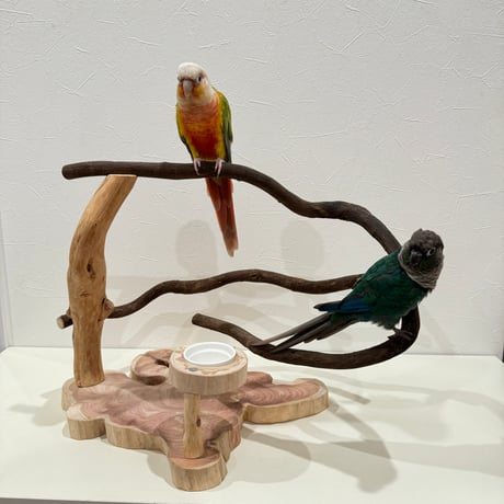 大型インコ オウム用 カクタスパーチ 手作り カクタスパーチ | STORES